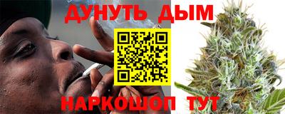 индика Партизанск