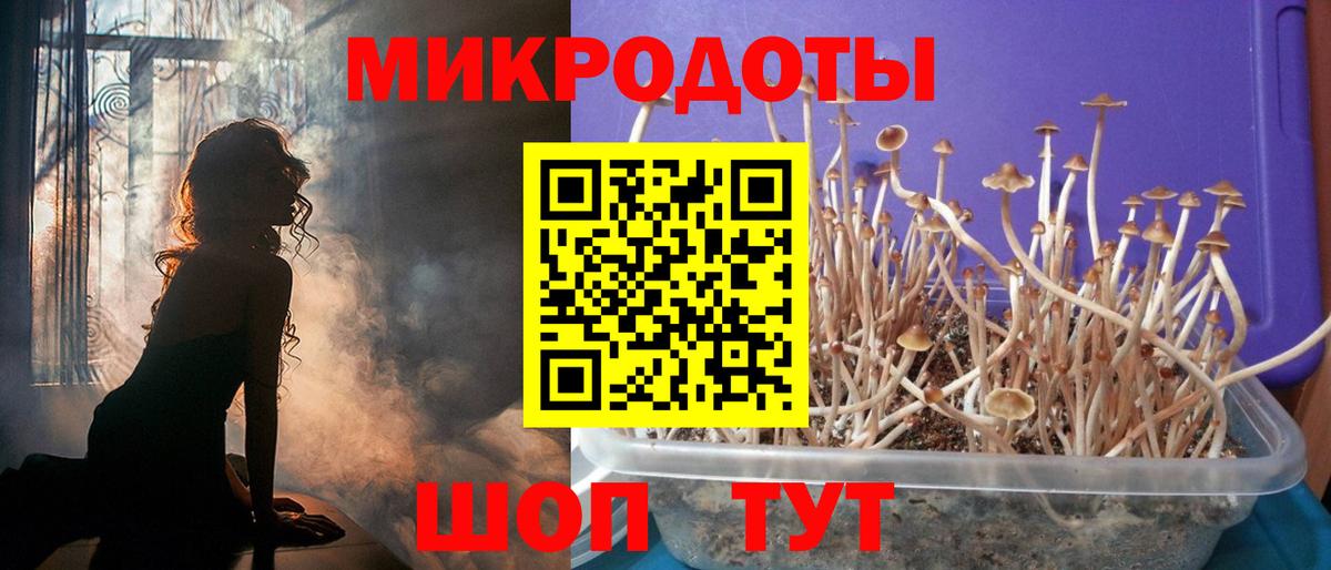 Галлюциногенные грибы Psilocybe  Вход с VPN  Сибай 